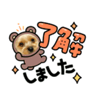 ヨーキー虎太郎（個別スタンプ：4）