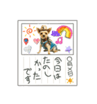 ヨーキー虎太郎（個別スタンプ：19）