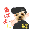 ヨーキー虎太郎（個別スタンプ：23）