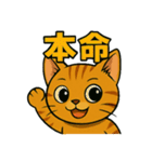 競馬好き猫のとらた（個別スタンプ：1）