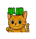 競馬好き猫のとらた（個別スタンプ：7）