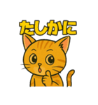 競馬好き猫のとらた（個別スタンプ：11）