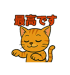 競馬好き猫のとらた（個別スタンプ：13）