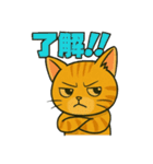 競馬好き猫のとらた（個別スタンプ：16）