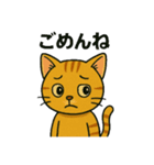 競馬好き猫のとらた（個別スタンプ：20）