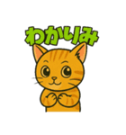 競馬好き猫のとらた（個別スタンプ：34）