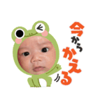 sikun物語（個別スタンプ：5）