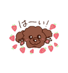 トイプー♡モコちゃん（個別スタンプ：3）