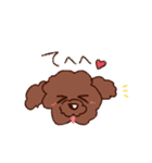 トイプー♡モコちゃん（個別スタンプ：14）