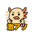 ウーパールーパーのパー子（個別スタンプ：4）