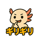 ウーパールーパーのパー子（個別スタンプ：7）