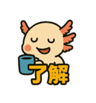 ウーパールーパーのパー子（個別スタンプ：14）
