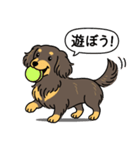 ミニチュアダックス （チョコイエロー）（個別スタンプ：1）
