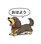 ミニチュアダックス （チョコイエロー）（個別スタンプ：4）