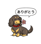 ミニチュアダックス （チョコイエロー）（個別スタンプ：5）