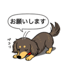 ミニチュアダックス （チョコイエロー）（個別スタンプ：7）