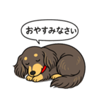 ミニチュアダックス （チョコイエロー）（個別スタンプ：9）