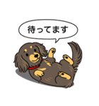 ミニチュアダックス （チョコイエロー）（個別スタンプ：10）