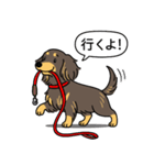 ミニチュアダックス （チョコイエロー）（個別スタンプ：11）