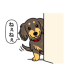 ミニチュアダックス （チョコイエロー）（個別スタンプ：12）
