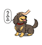 ミニチュアダックス （チョコイエロー）（個別スタンプ：19）