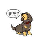 ミニチュアダックス （チョコイエロー）（個別スタンプ：20）