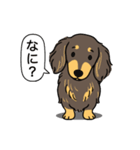 ミニチュアダックス （チョコイエロー）（個別スタンプ：22）