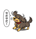 ミニチュアダックス （チョコイエロー）（個別スタンプ：23）