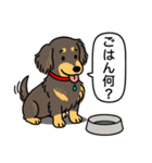 ミニチュアダックス （チョコイエロー）（個別スタンプ：24）