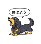 ダックス（ロング＋ブラックイエロー）（個別スタンプ：4）