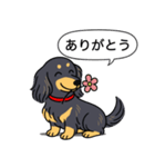 ダックス（ロング＋ブラックイエロー）（個別スタンプ：5）