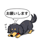 ダックス（ロング＋ブラックイエロー）（個別スタンプ：7）