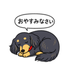ダックス（ロング＋ブラックイエロー）（個別スタンプ：9）