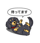 ダックス（ロング＋ブラックイエロー）（個別スタンプ：10）
