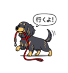 ダックス（ロング＋ブラックイエロー）（個別スタンプ：11）