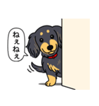 ダックス（ロング＋ブラックイエロー）（個別スタンプ：12）