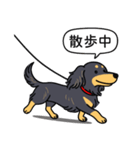 ダックス（ロング＋ブラックイエロー）（個別スタンプ：17）