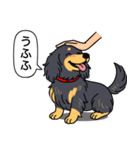 ダックス（ロング＋ブラックイエロー）（個別スタンプ：19）