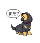 ダックス（ロング＋ブラックイエロー）（個別スタンプ：20）