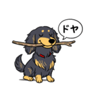 ダックス（ロング＋ブラックイエロー）（個別スタンプ：21）