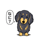 ダックス（ロング＋ブラックイエロー）（個別スタンプ：22）