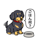 ダックス（ロング＋ブラックイエロー）（個別スタンプ：24）