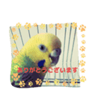 美ぃやちーラブミー（個別スタンプ：1）