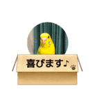 美ぃやちーラブミー（個別スタンプ：3）