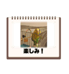 美ぃやちーラブミー（個別スタンプ：6）