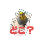美ぃやちーラブミー（個別スタンプ：8）
