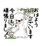 シーズー犬 2025 「丁寧な言葉・気遣い」（個別スタンプ：1）