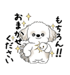 シーズー犬 2025 「丁寧な言葉・気遣い」（個別スタンプ：4）