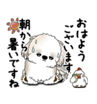 シーズー犬 2025 「丁寧な言葉・気遣い」（個別スタンプ：5）