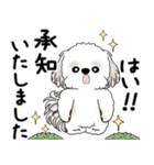 シーズー犬 2025 「丁寧な言葉・気遣い」（個別スタンプ：7）